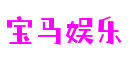 上海市宝马娱乐数控科技有限公司